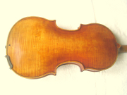 Geige Meisterinstrument Sachsen